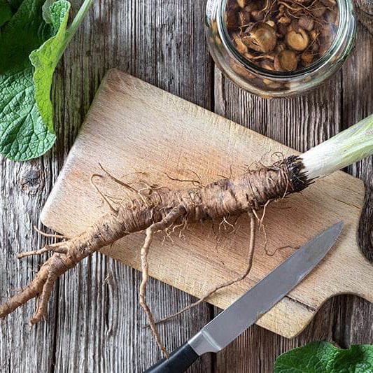 Burdock Root
